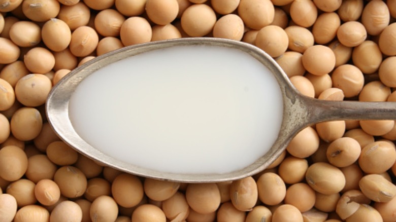 spoon with soy milk over soy beans