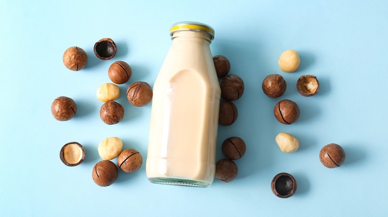 macadamias with bottle of macadamia milk