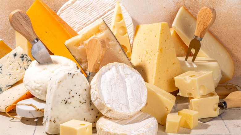 Different varieties of cheeses