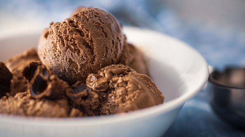 bowl of chocolate ice cream