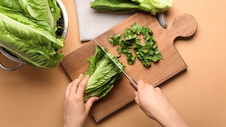 cutting romaine lettuce