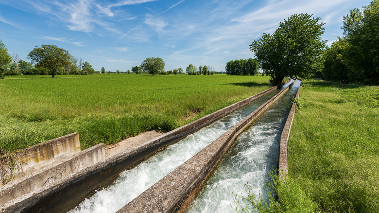 Irrigation canals in Po Valley