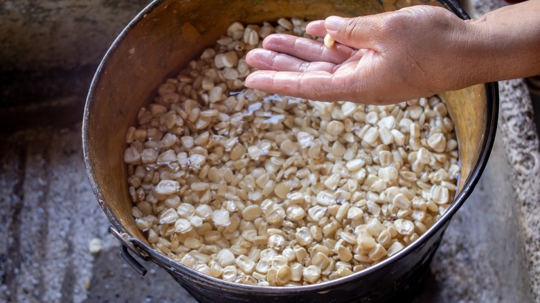 hand with corn