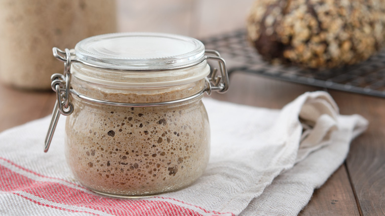 Sourdough Starter