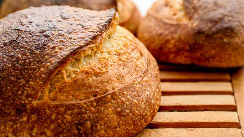 Sourdough Bread