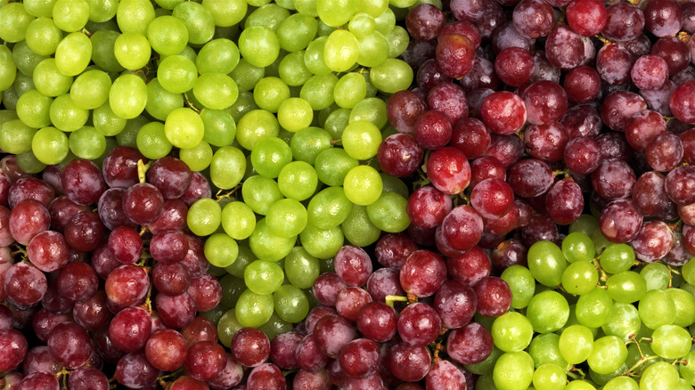 Bunches of red and green grapes