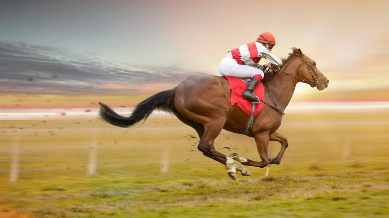 jockey riding on a racehorse