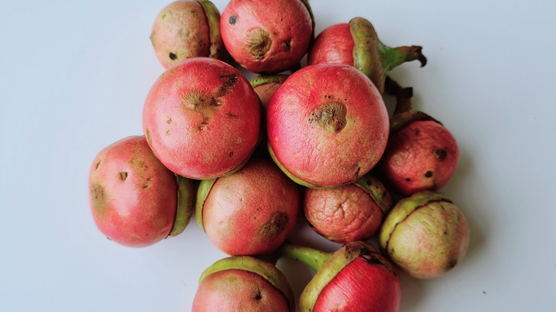 pink engkalak fruits