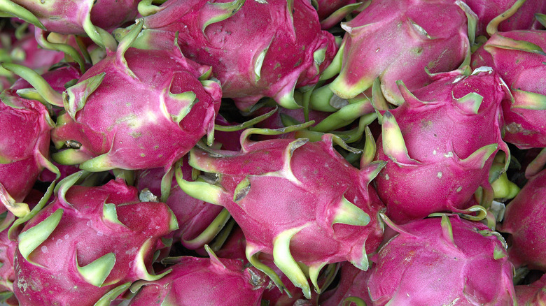 dragon fruits