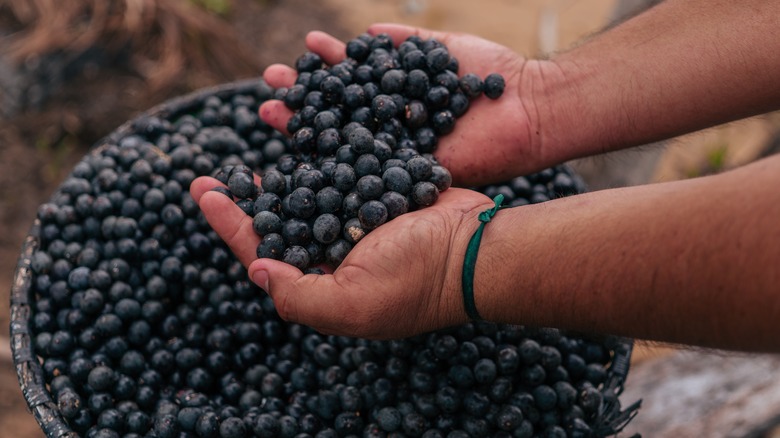 hands full of acai berries