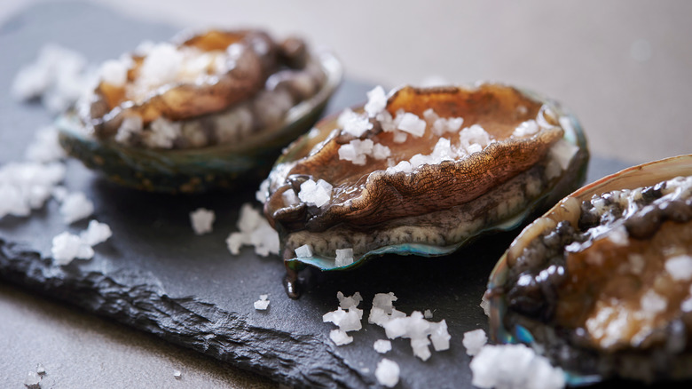 Abalone Shellfish