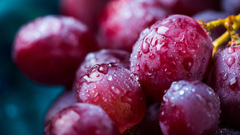 Ruby Roman Grapes