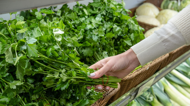 Herbs at grocery store