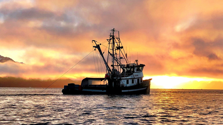 shrimp trawler in Alaska