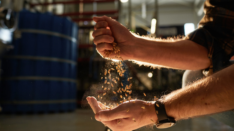 man with grain seeds