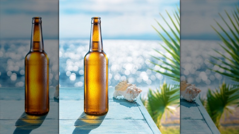 Brow neer bottle on a sunny beach