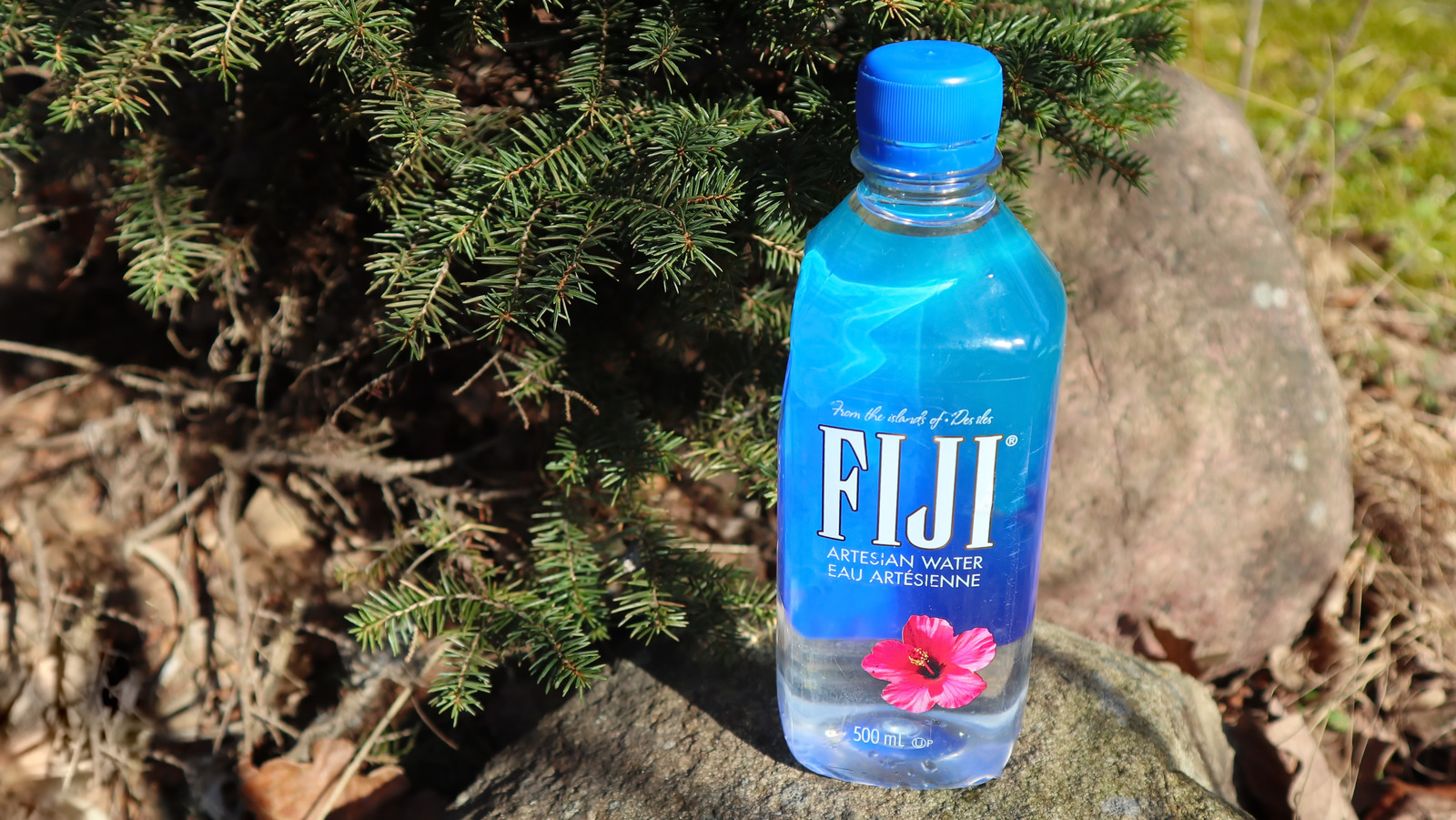 The Real Reason Fiji Water Doesn't Use Glass Bottles