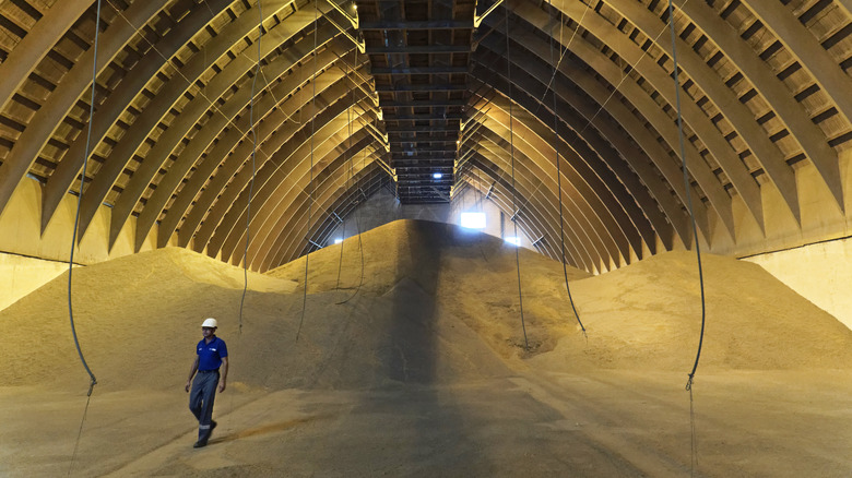 Grain storage center in Ukraine 