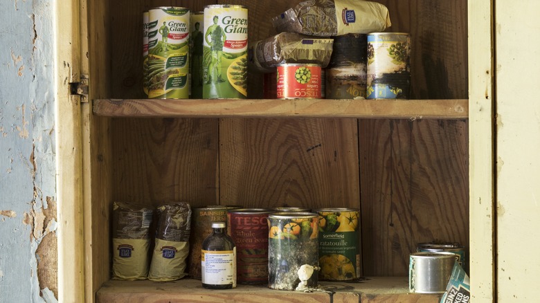 Canned foods at home