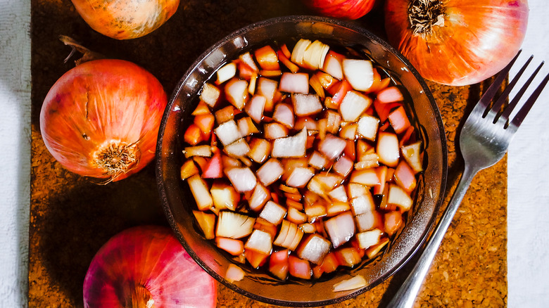 dipping sauce with onions