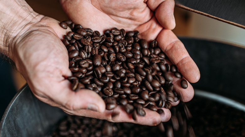 coffee beans in person's hands