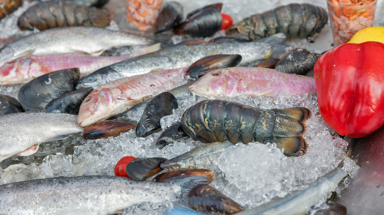 Ice display of frozen lobster tails