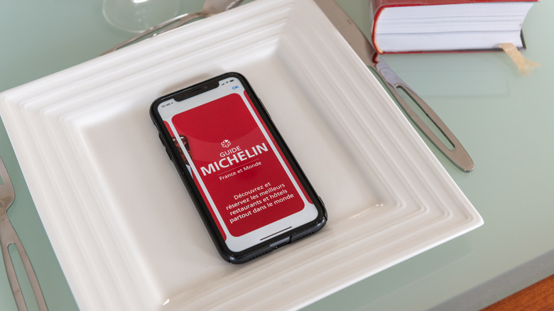 Michelin Guide app on plate