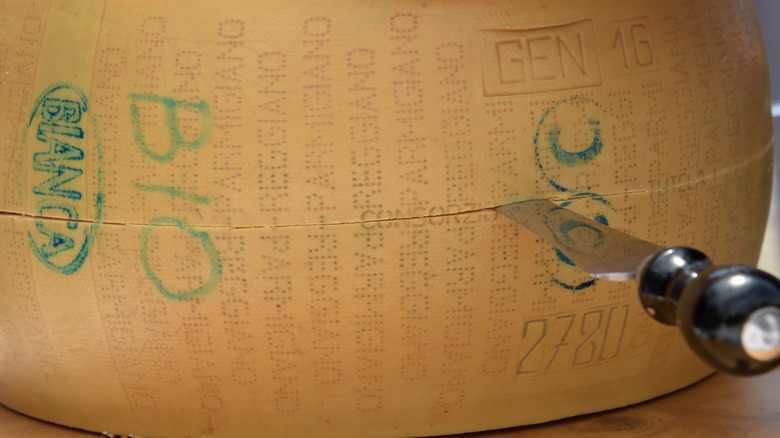 Cutting wheel of Parmigiano Reggiano