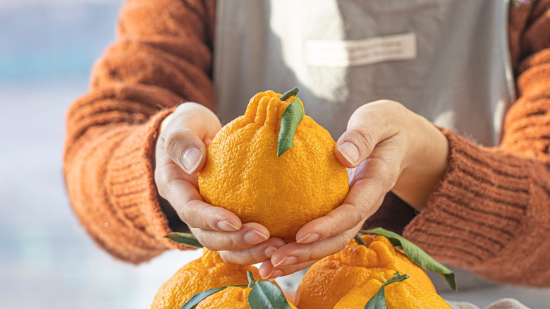 Tangerine in hand