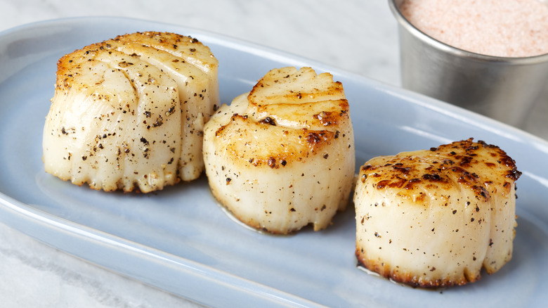 seared sea scallops