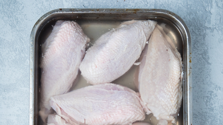 chicken breasts in wet brine