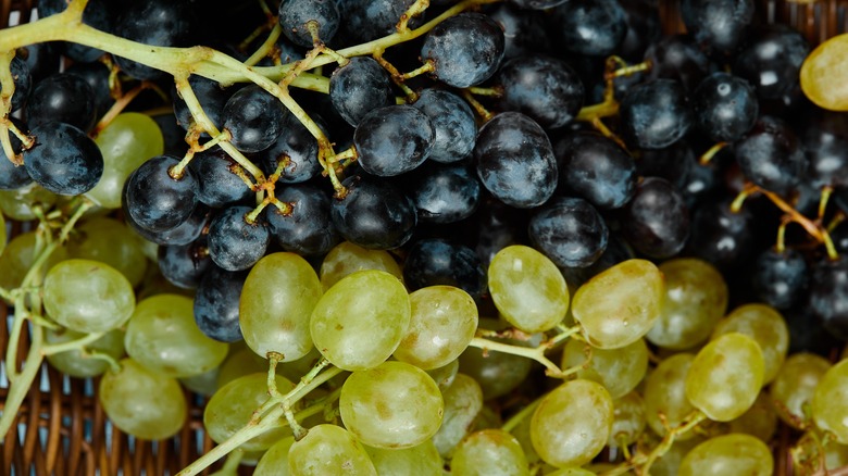 purple and green grapes