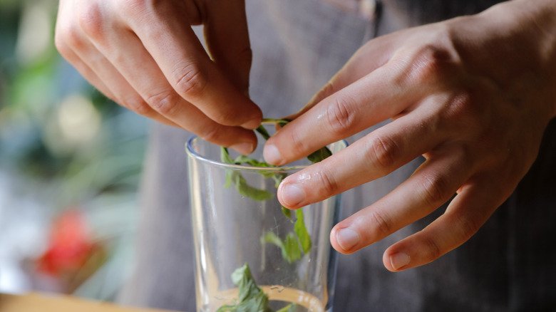 Adding mint to a cocktail