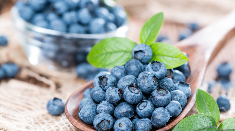 blueberries on a wooden spoon