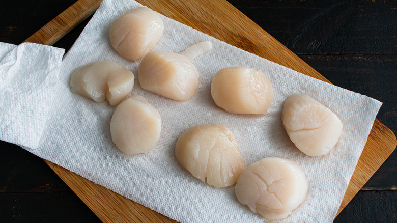 scallops on a paper towel