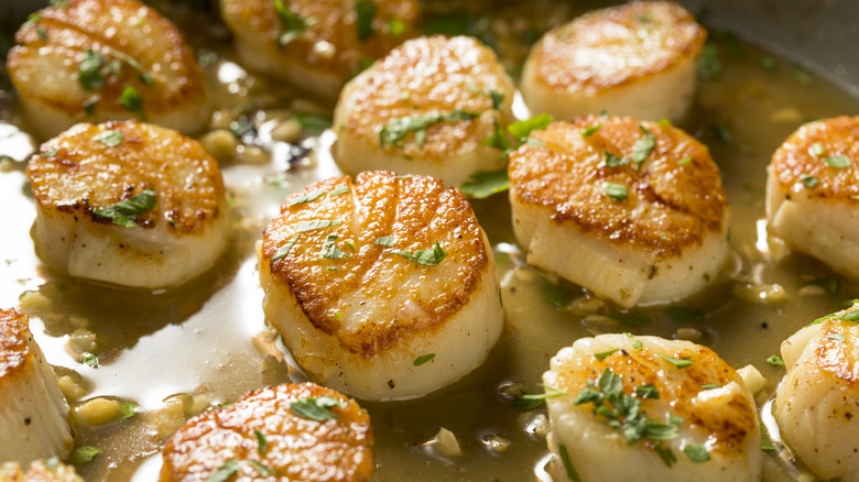 seared scallops in sauce