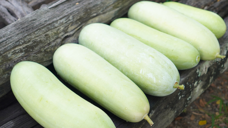 Winter melons on wood