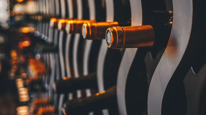 wine bottles in a wine cellar