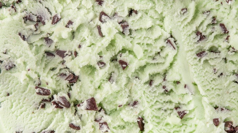 Mint chocolate chip ice cream