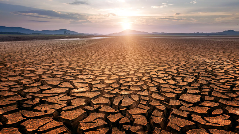 cracks in drought affected ground