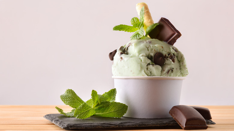 Mint chocolate chip ice cream