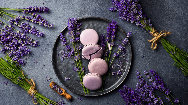 lavender macarons