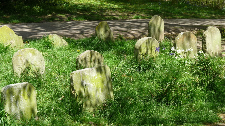 Pet cemetery