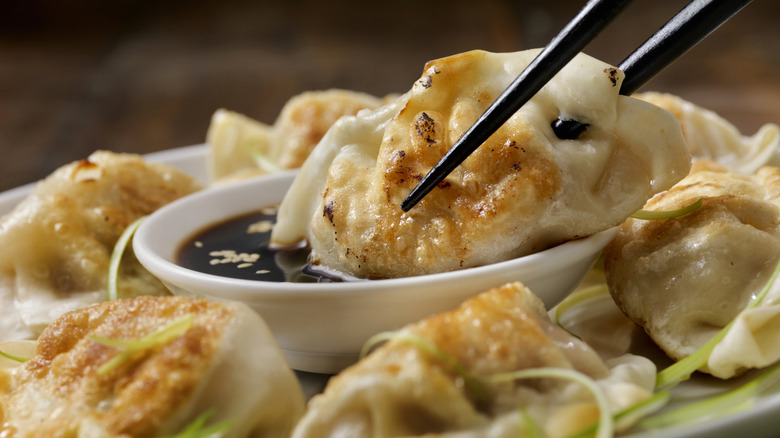 potsticker dumplings being dipped in a dark sauce