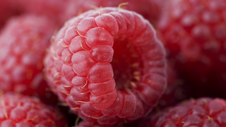 Single raspberry close up