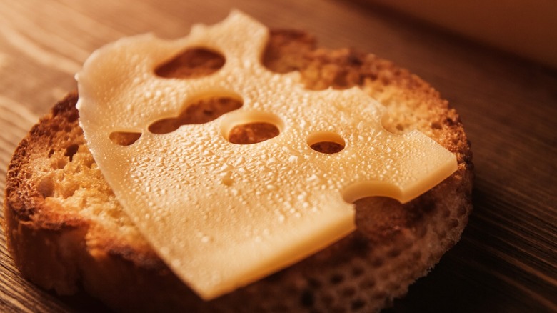 Close-up of sweaty Swiss cheese on bread