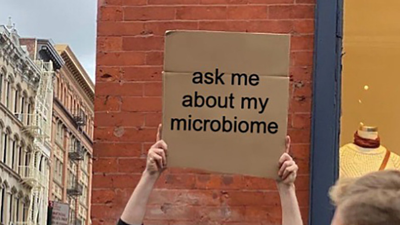 Hand-drawn microbiome sign on cardboard 