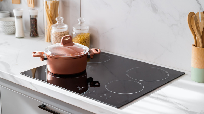 Pot with lid on glass stovetop