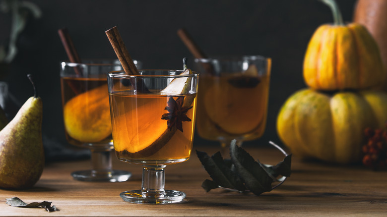 seasonal hot toddy drinks with cinnamon stick garnish