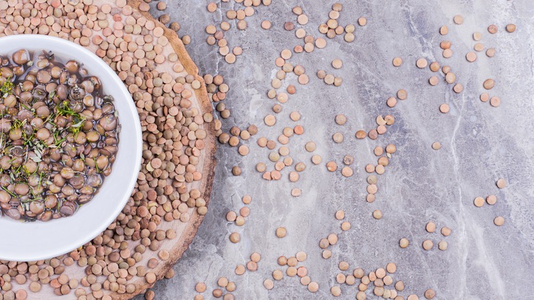 Bowl of brown lentils